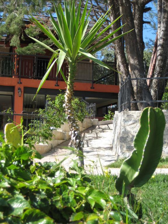 Residenza Mediterranea Цамброне Экстерьер фото